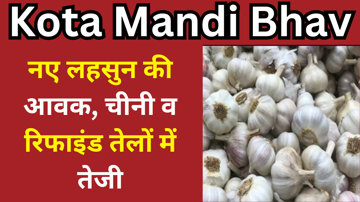 Kota Mandi Bhav : नए लहसुन की आवक, चीनी और रिफाइंड तेलों में तेजी
